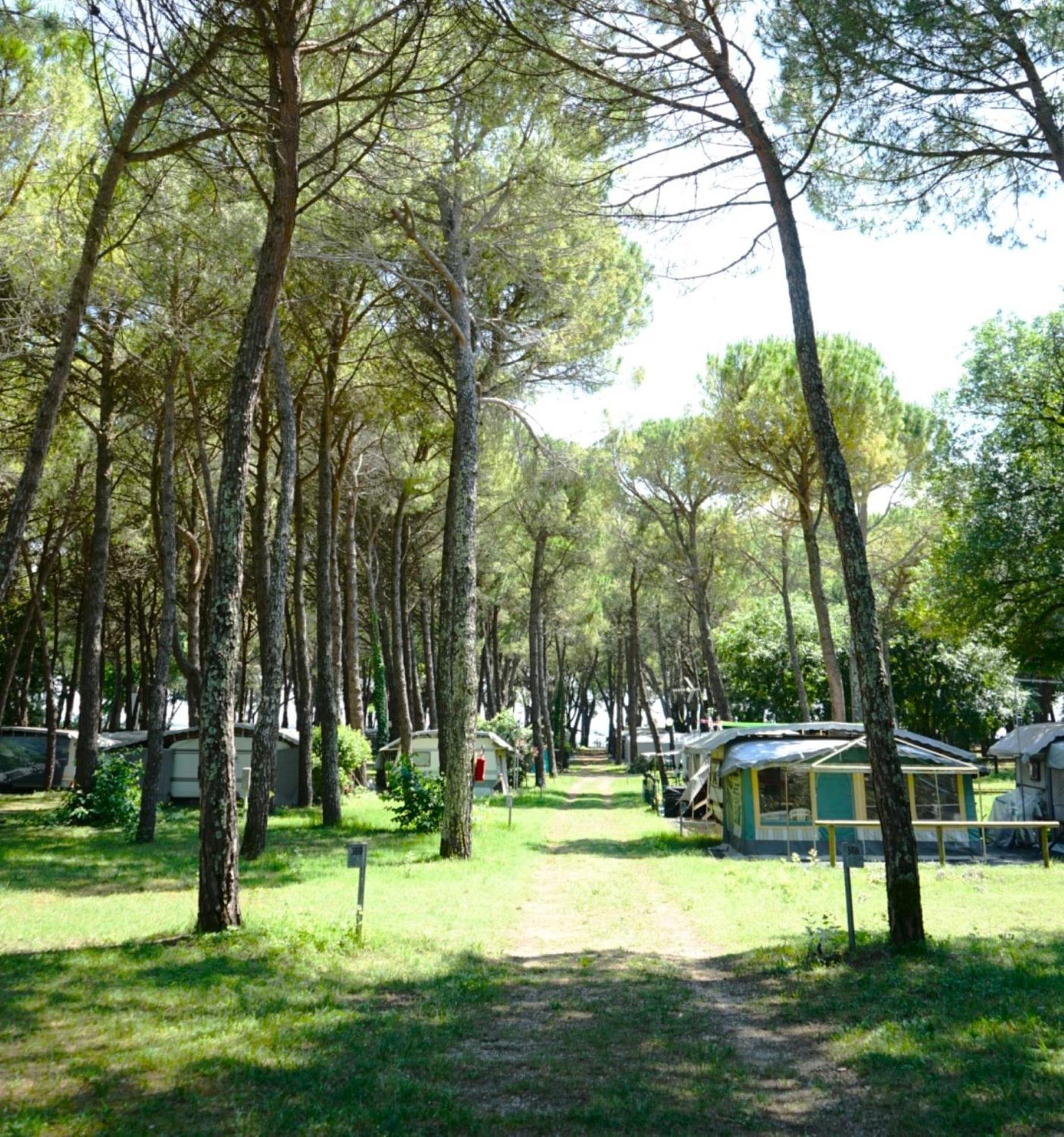 Belvedere Pineta Camping Village Grado Esterno foto