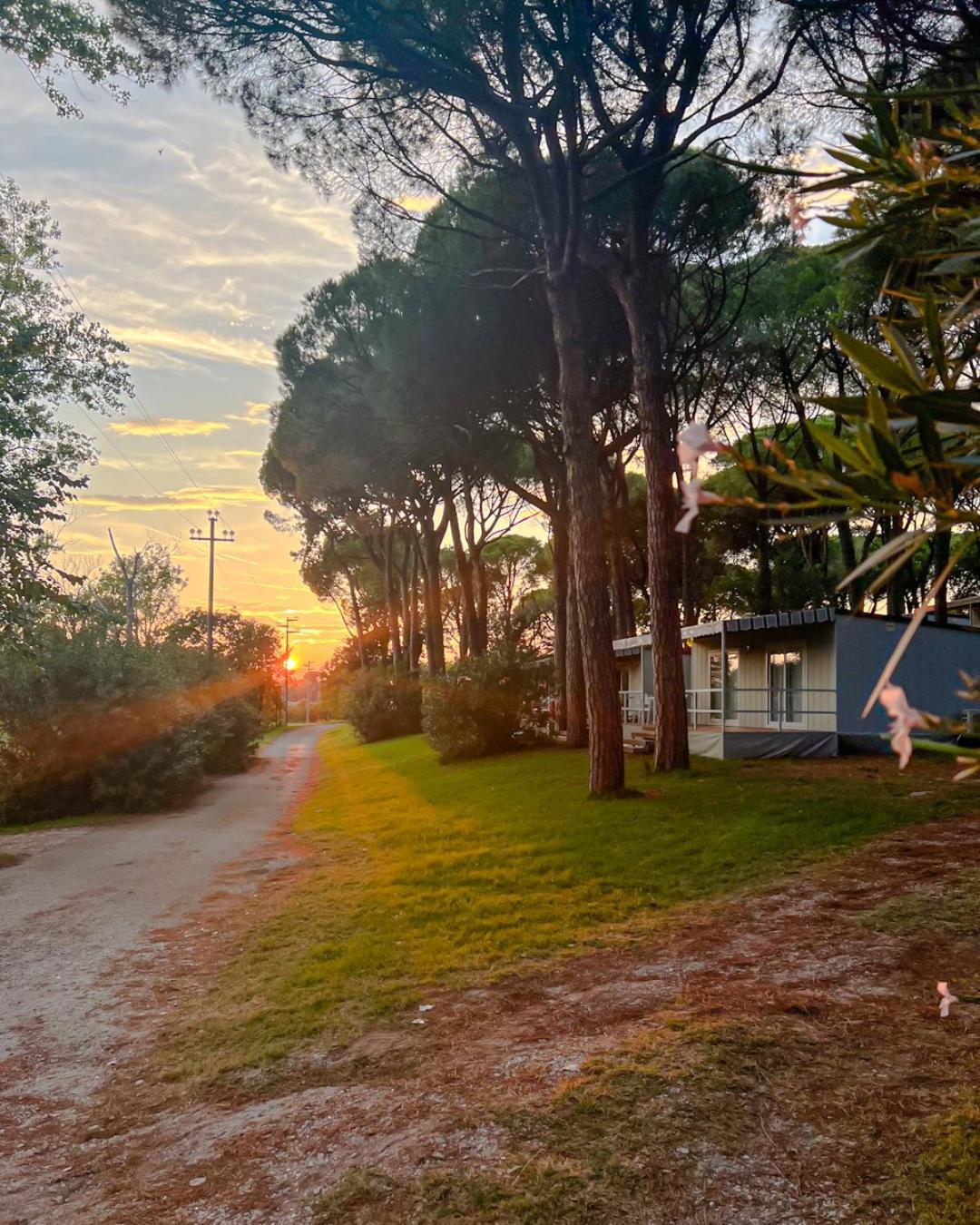 Belvedere Pineta Camping Village Grado Esterno foto