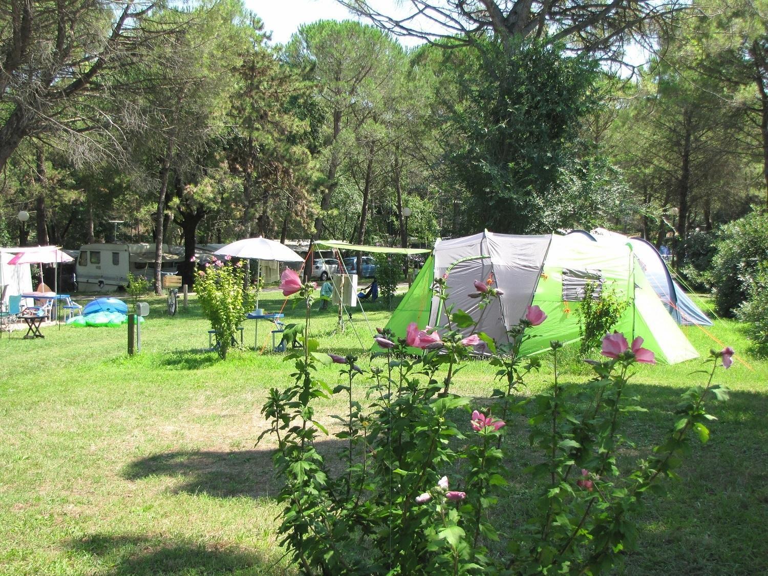 Belvedere Pineta Camping Village Grado Esterno foto