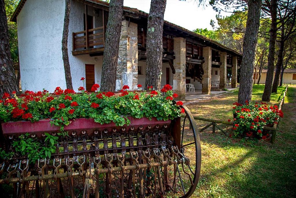 Belvedere Pineta Camping Village Grado Esterno foto
